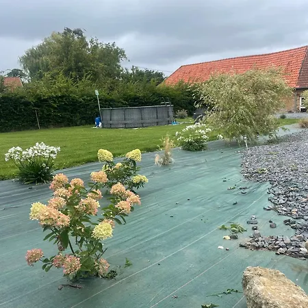 Au Coeur Du Marais,le Leonin Saint-Andre-de-Bohon