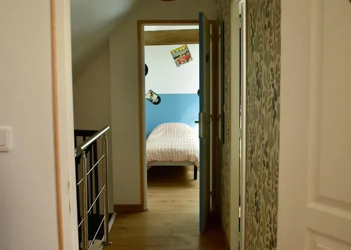 Au Cœur Du Marais,le Léonin * Saint-Andre-de-Bohon