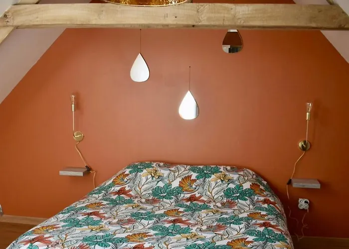 Casa vacanze Au Cœur Du Marais,le Léonin *