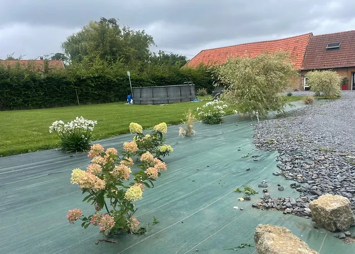 Au Cœur Du Marais,le Léonin Saint-Andre-de-Bohon